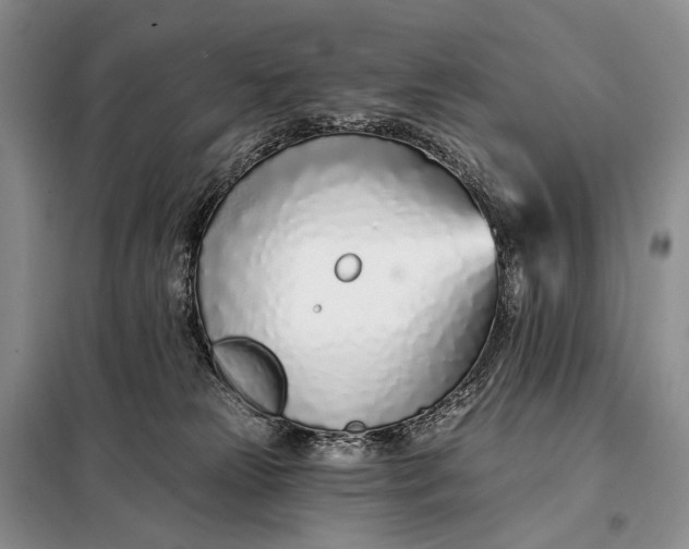 X0000098050181200804181333