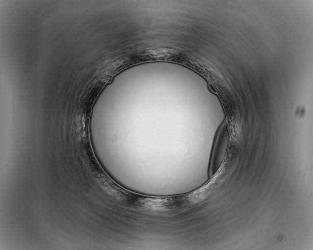 X0000098050182200804181333