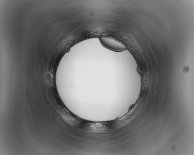 X0000098050183200804181333