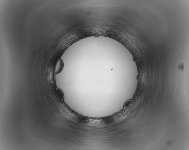 X0000098050185200804181333