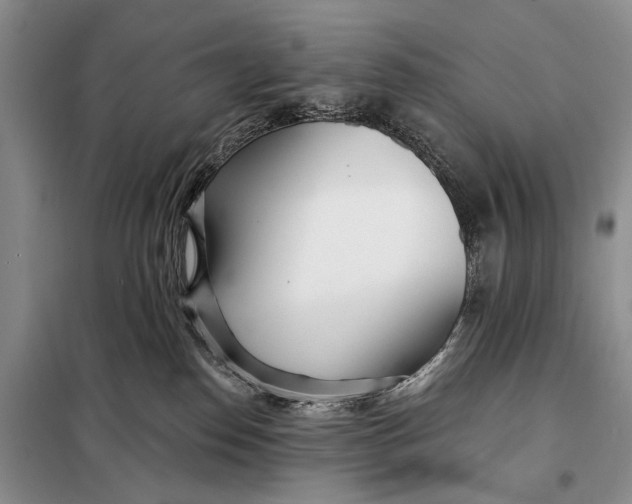 X0000098050186200804181333