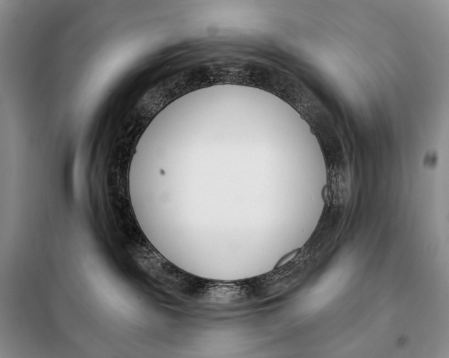 X0000098050189200804181333