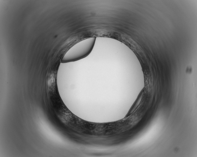 X0000098050191200804181333