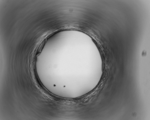 X0000098050193200804181333