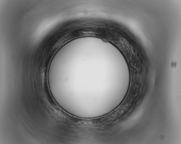 X0000098050194200804181333