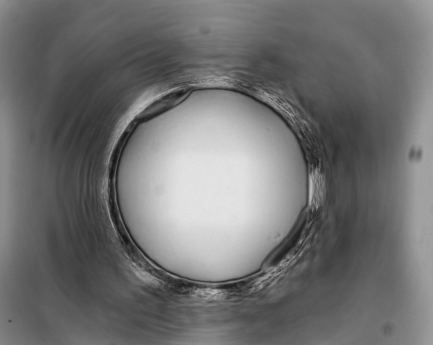 X0000098050195200804181333