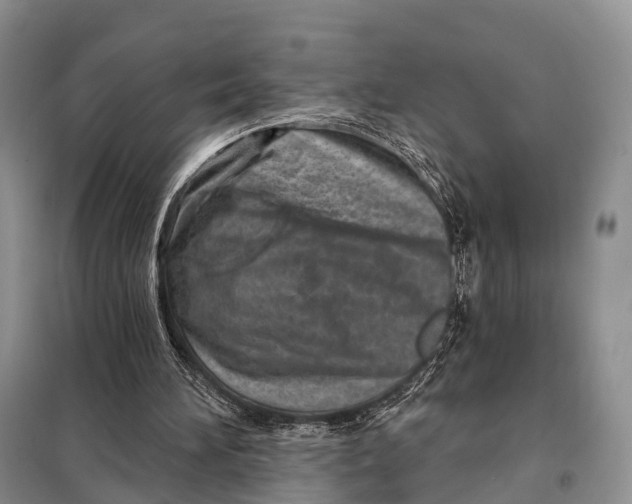 X0000098050196200804181333