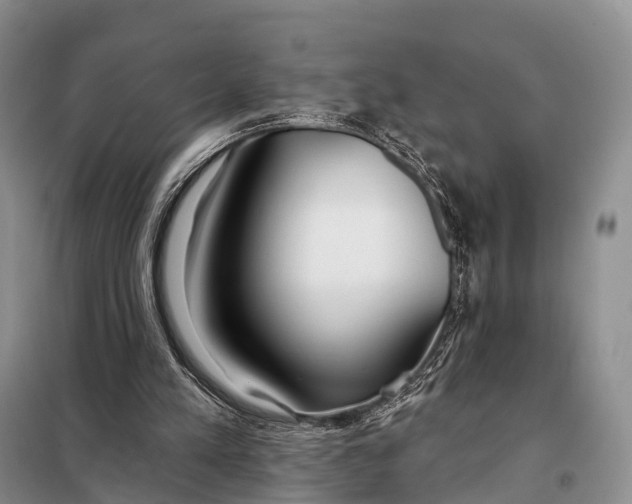 X0000098050197200804181333