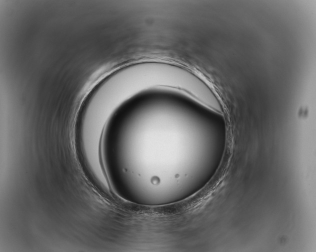 X0000098050199200804181332