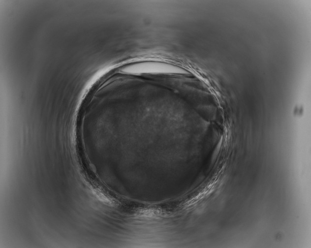 X0000098050200200804181332