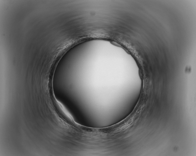 X0000098050201200804181332