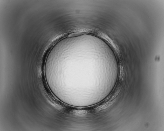 X0000098050203200804181332