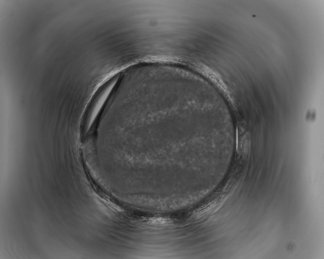 X0000098050204200804181332