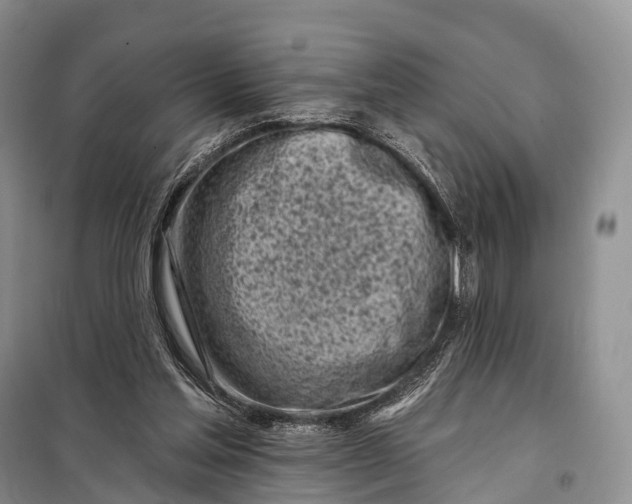 X0000098050205200804181332