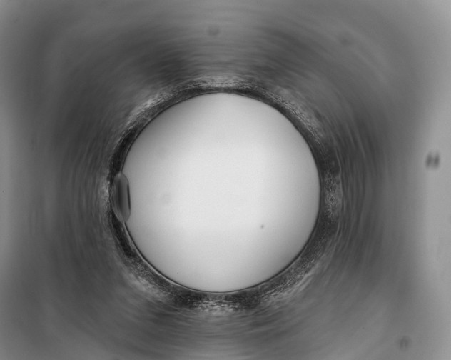 X0000098050207200804181332