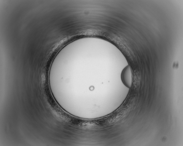 X0000098050208200804181332