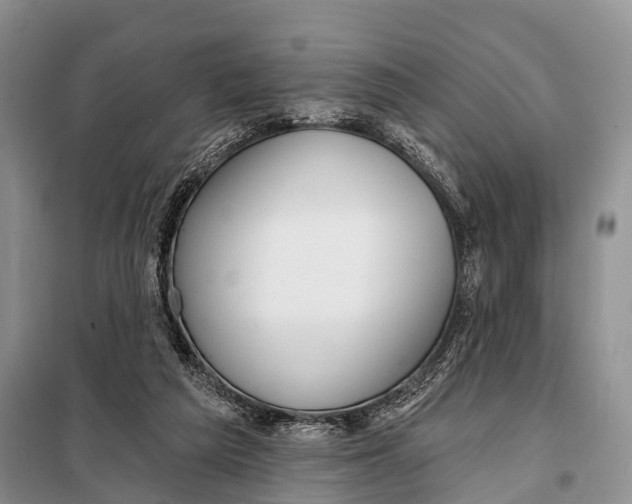 X0000098050209200804181332