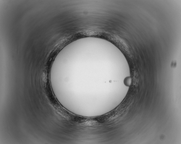 X0000098050210200804181332