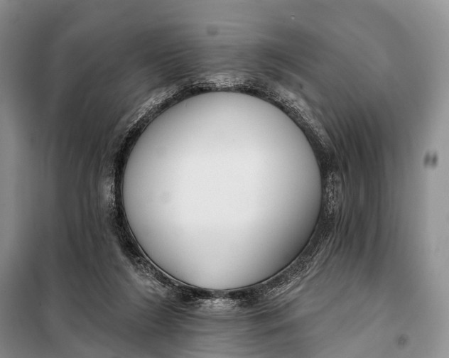 X0000098050212200804181332