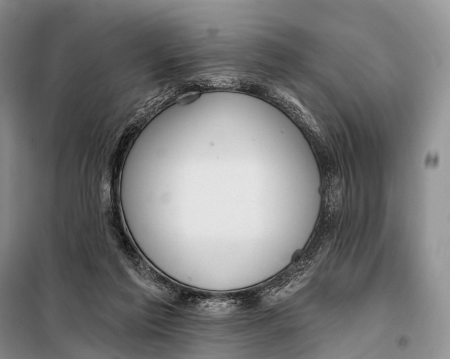 X0000098050213200804181332