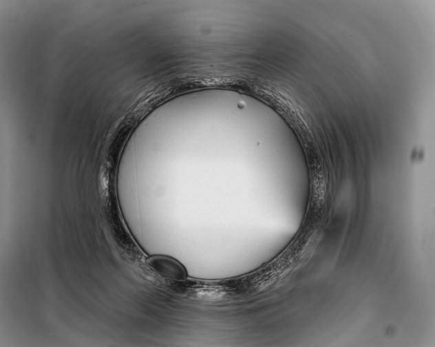 X0000098050214200804181332