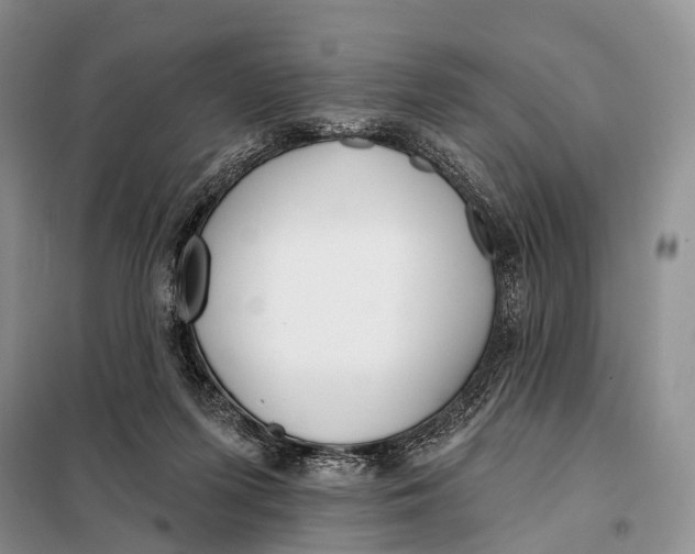 X0000098050215200804181332