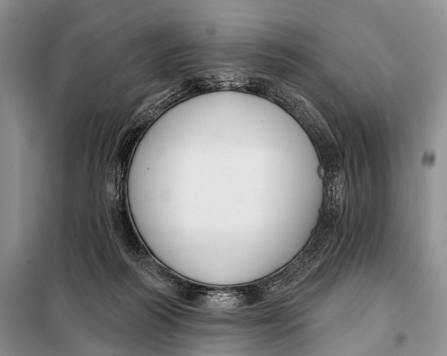 X0000098050218200804181332