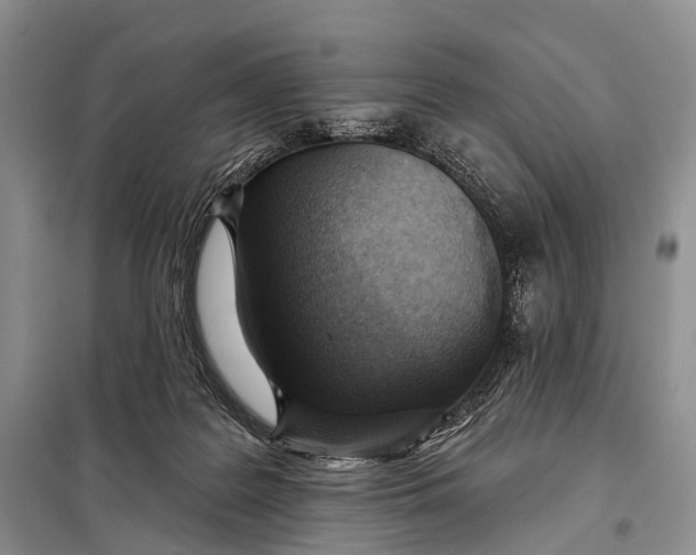 X0000098050219200804181332