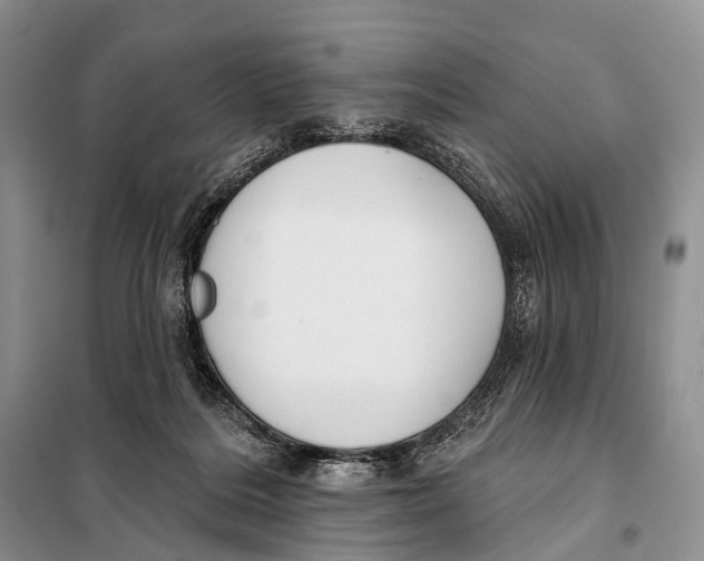 X0000098050220200804181332