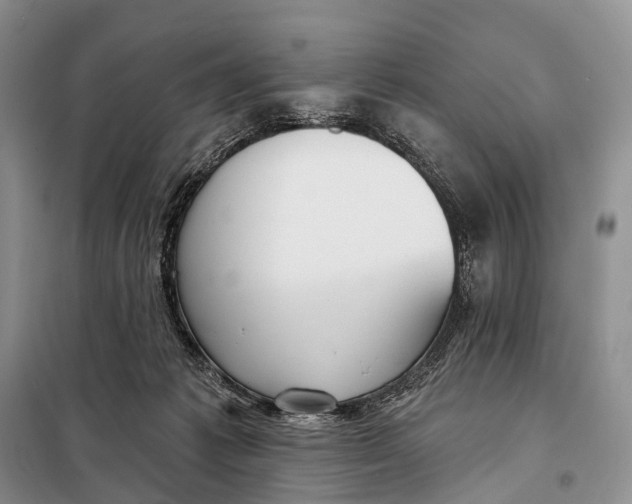 X0000098050221200804181332