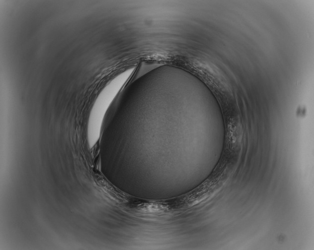 X0000098050223200804181332