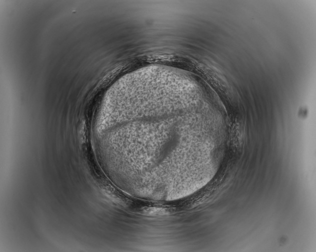 X0000098050224200804181332