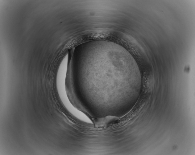 X0000098050227200804181332