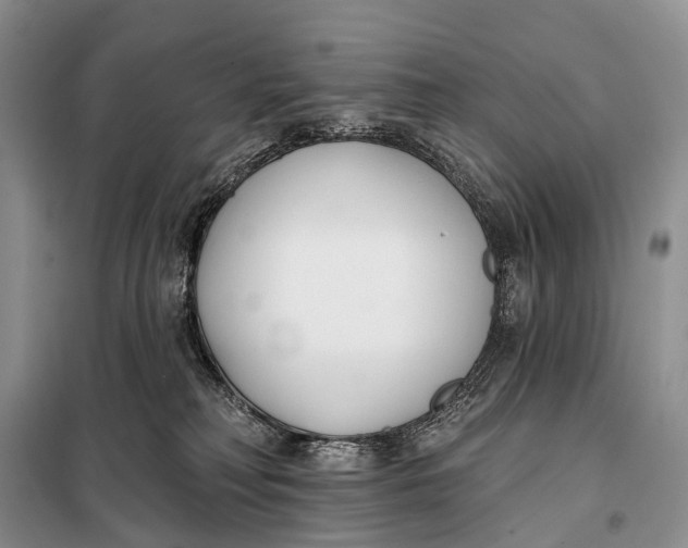 X0000098050230200804181332