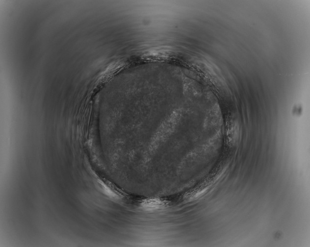 X0000098050231200804181332