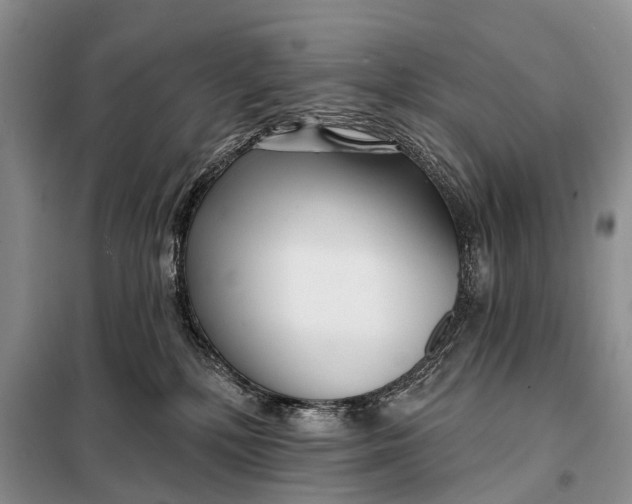 X0000098050232200804181332