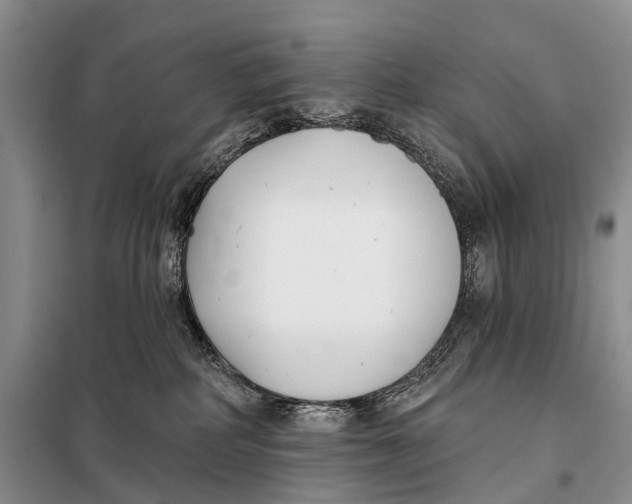 X0000098050234200804181332