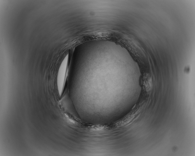 X0000098050235200804181332