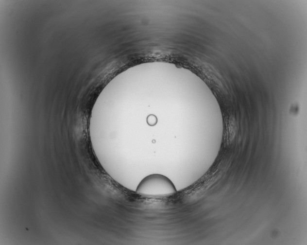 X0000098050236200804181332