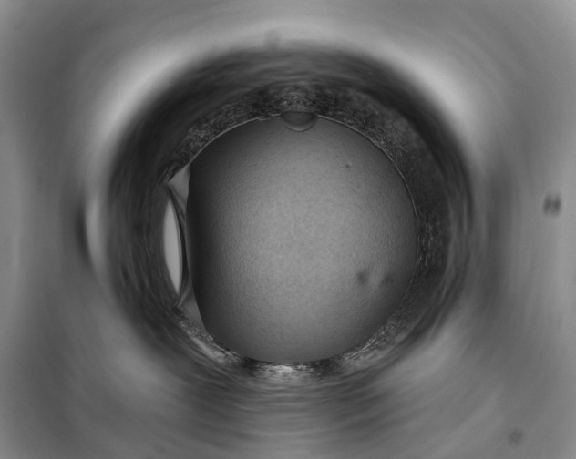 X0000098050239200804181332