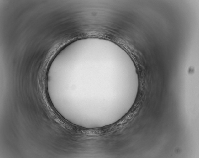 X0000098050241200804181331