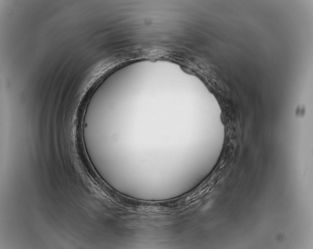 X0000098050242200804181331