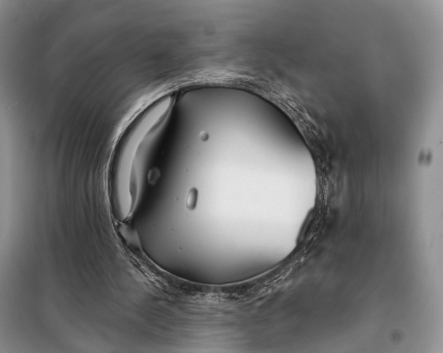 X0000098050244200804181331