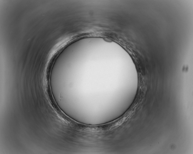 X0000098050245200804181331