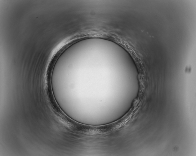 X0000098050246200804181331