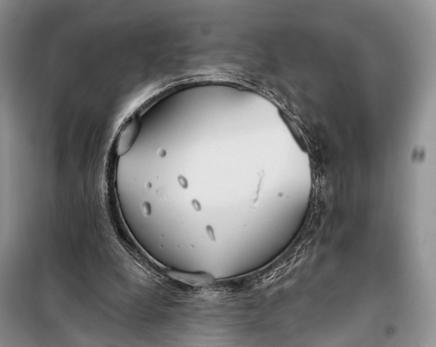 X0000098050248200804181331