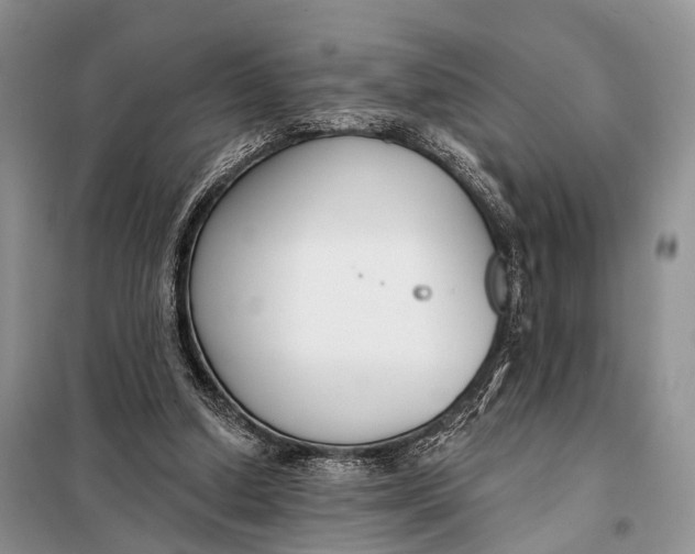 X0000098050250200804181331