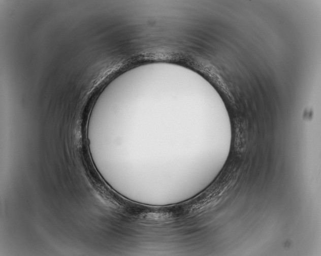 X0000098050251200804181331