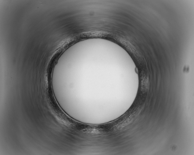 X0000098050254200804181331