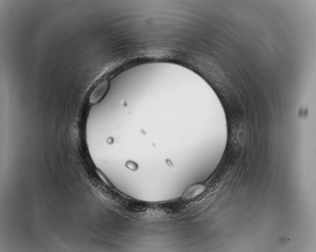 X0000098050256200804181331